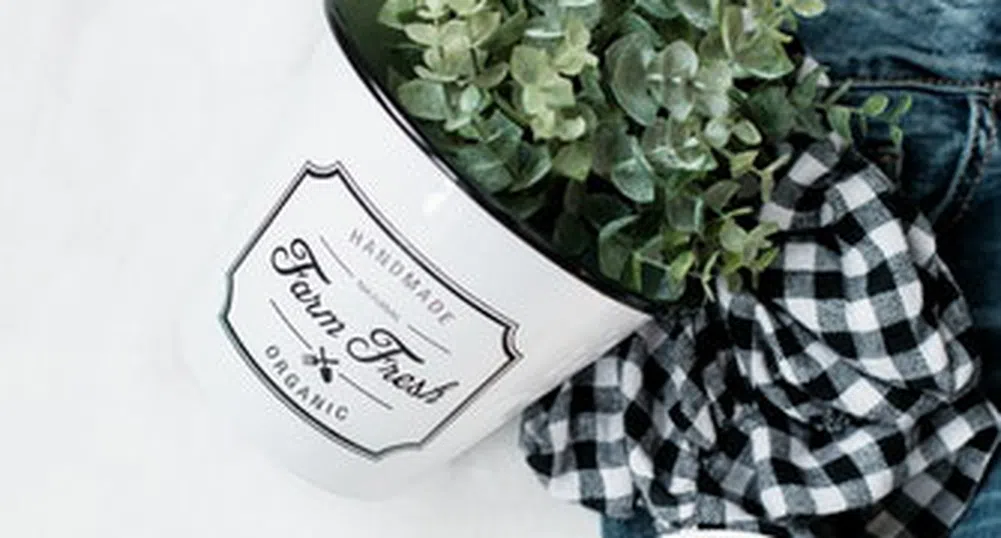 Изненадващи факти за яйцето