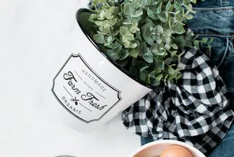 Изненадващи факти за яйцето