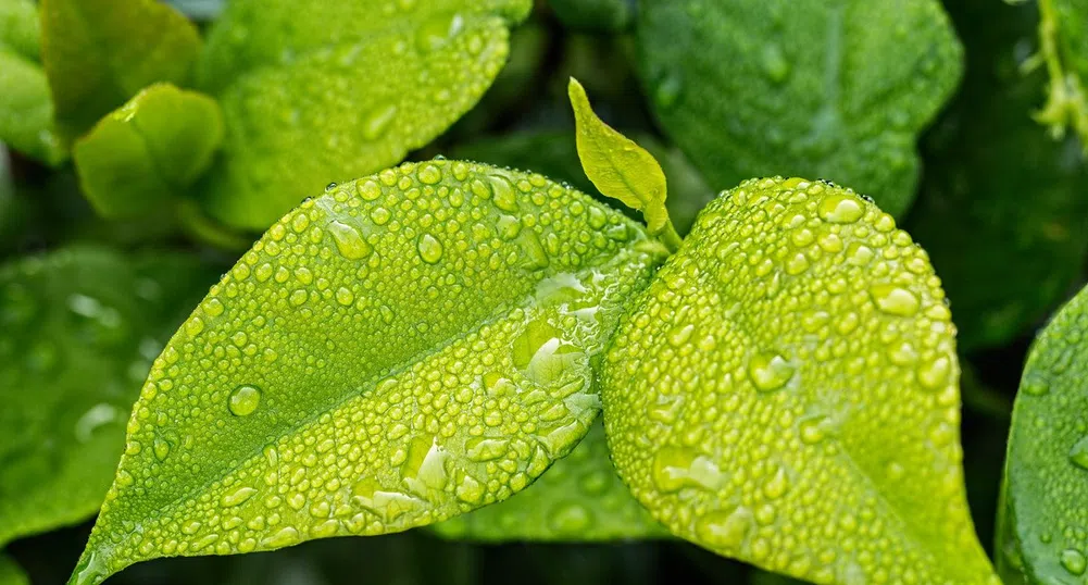 Още ден студ и дъжд. Какво време ни очаква по Великден?