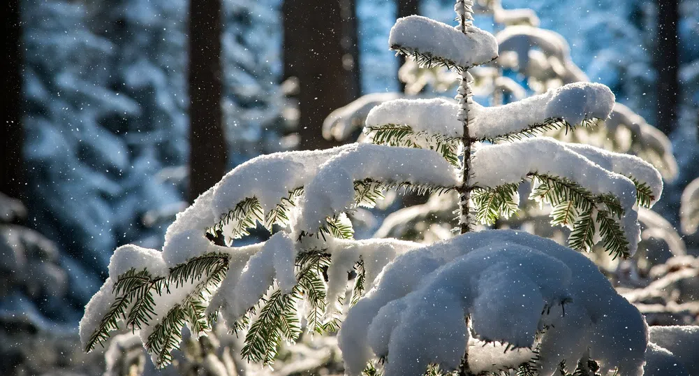 Снеговалежите продължават и през уикенда