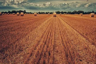 Българското правителство срещу световните пазари – рунд първи