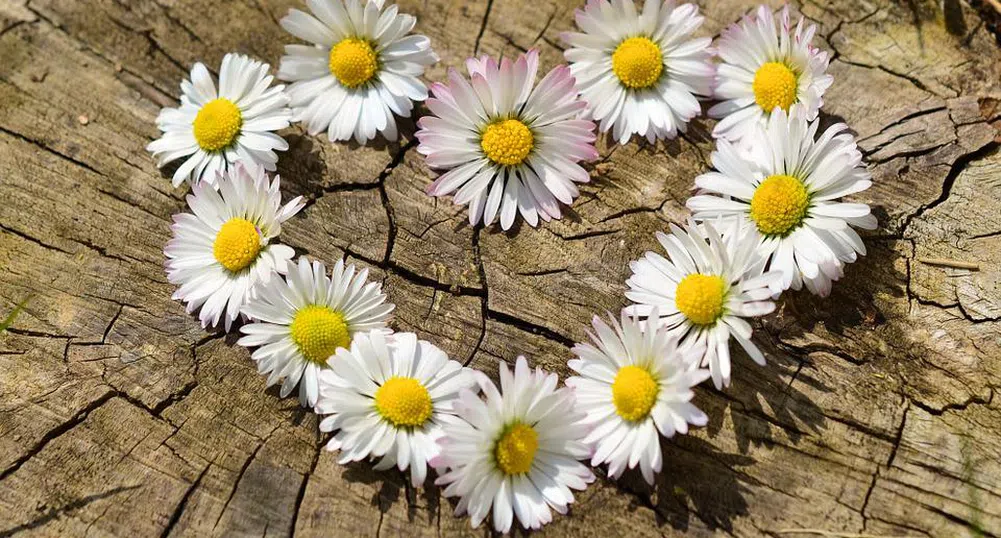 Лятото се завръща