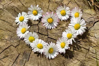 Лятото се завръща