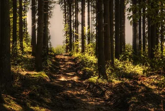Нов туристически маршрут, дълъг над 2000 км, свързва три европейски страни