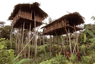 Традиционните жилища по света