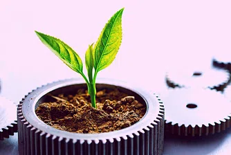 SeedBlink мобилизира 2,69 млн. евро в стартъпи през първата си година у нас