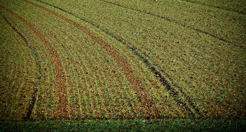 Адванс Терафонд АДСИЦ предлага 0.17 лв. дивидент на акция