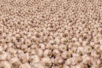 Китайският чесън и мръсната тайна на китайските затвори