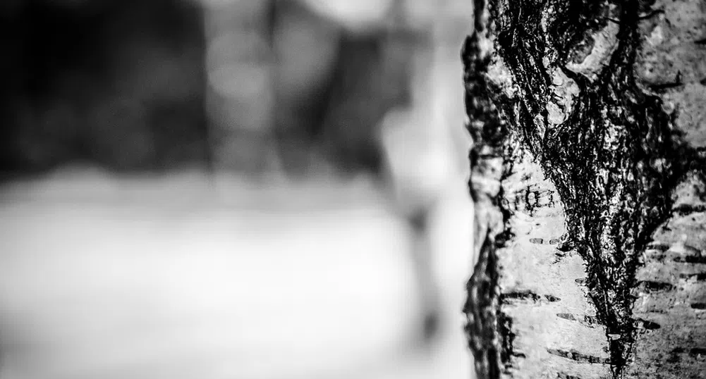 Отново опасен студ. Жълт код е в сила за цялата страна