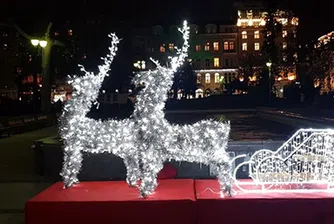 ОЗК-ЗАСТРАХОВАНЕ се включи в кампанията Да украсим София