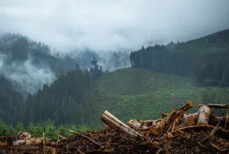 Рекорден брой екоактивисти убити по света през миналата година