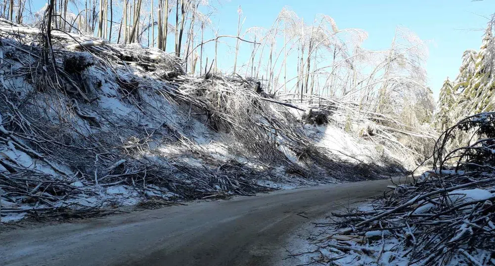 Продължава разчистването на прохода „Петрохан“
