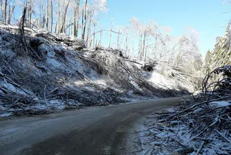 Продължава разчистването на прохода „Петрохан“