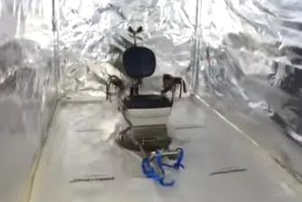 Откриха зловеща находка в товарен контейнер