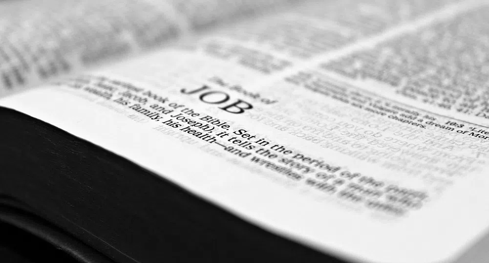 22 000 души започват работа по Националния план по заетостта през 2022 г.