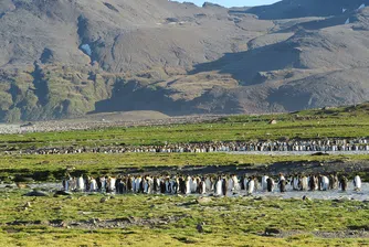 Най-големият айсберг в света е на път да се сблъска с екзотичен остров