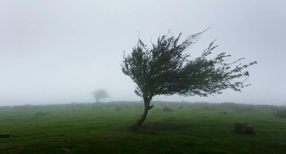 Жълт код за силен вятър в десет области на страната
