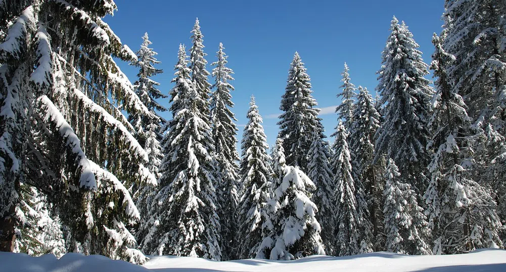 Минус 17 градуса отчете Роженската обсерватория