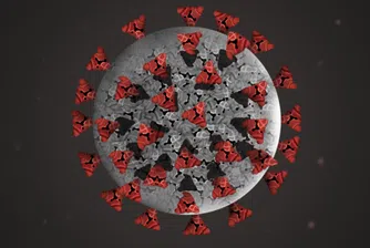 Новите случаи на COVID-19 са 362 при 5.3% положителни проби