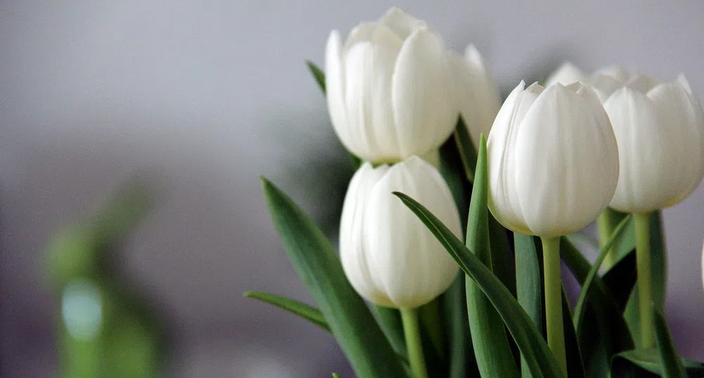 Март влиза в историята с рекорден студ