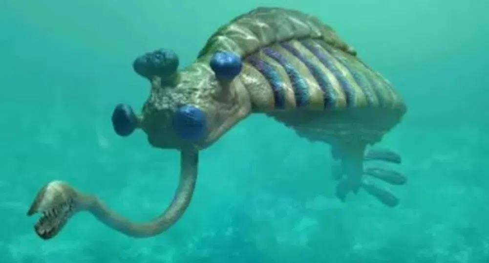 Как е изглеждал животът на Земята преди хората, според палеонтолозите