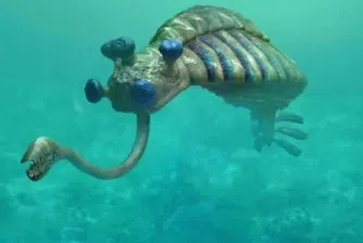 Как е изглеждал животът на Земята преди хората, според палеонтолозите