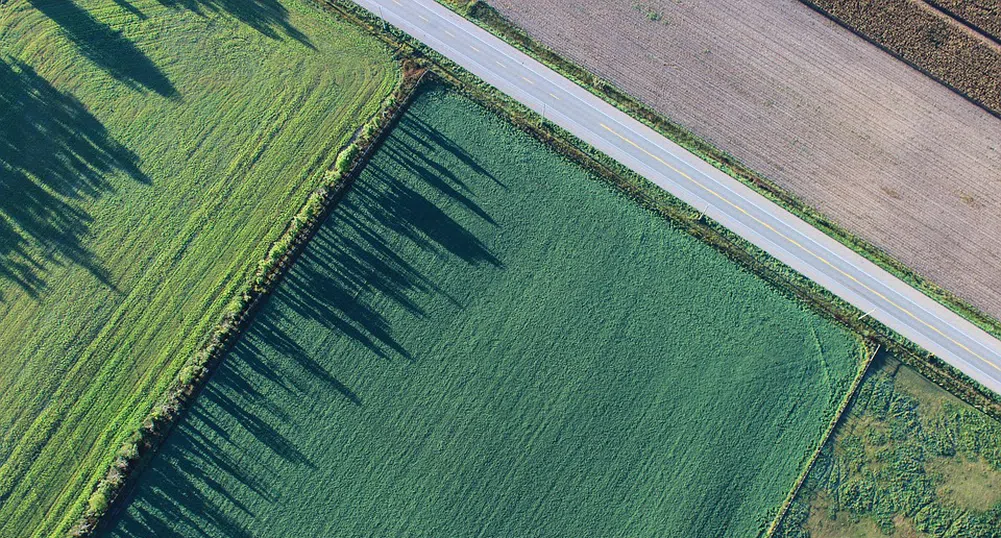 Средно с над 100 кг пшеница от декар по-малко спрямо 2019 г.