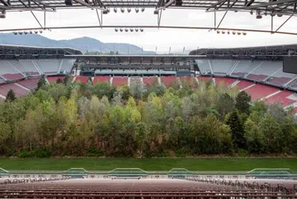 Защо на този стадион има гора?