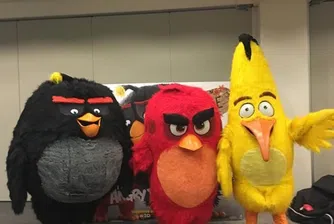 Книжата на създателите на Angry Birds се сринаха с 44%