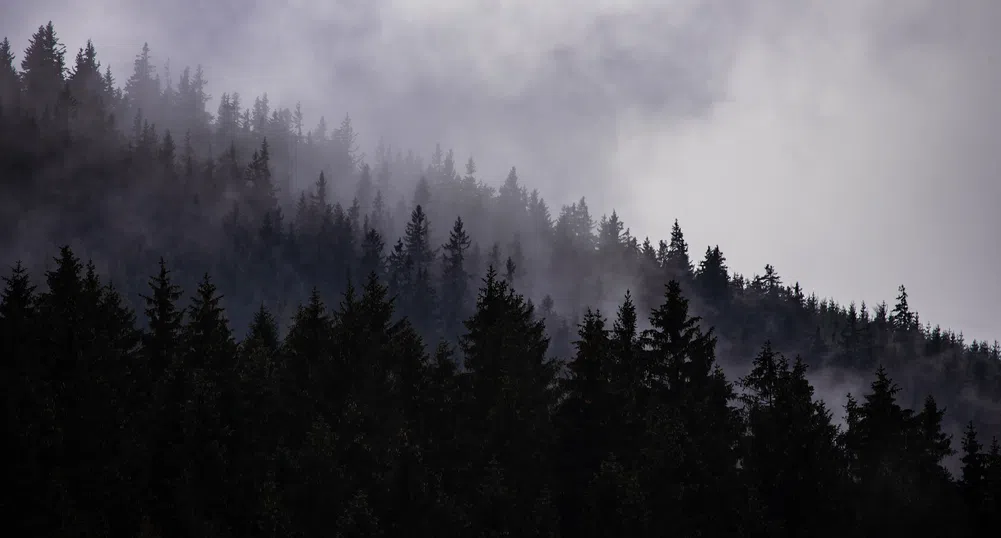 Облачно време  и сняг ни очакват през уикенда