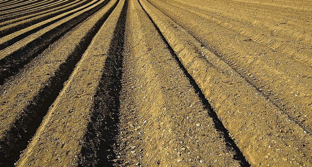 Броят на договорите за аренда падна двойно за четири години
