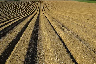 Броят на договорите за аренда падна двойно за четири години