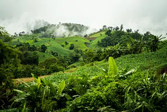 Авантюристи, пазете се: 5-те най-опасни джунгли в света