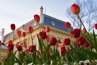 Разходете се из центъра на София - днес е ден без автомобили