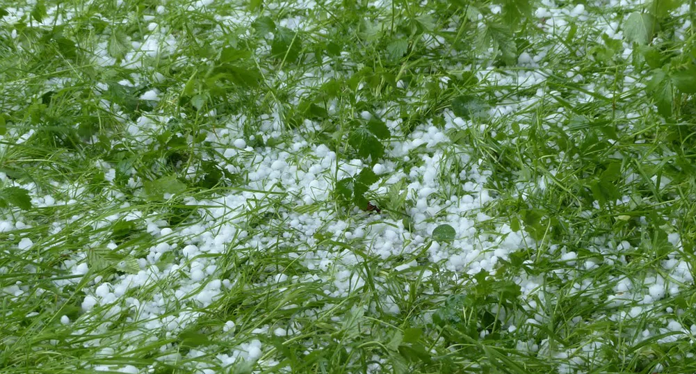 Жълт код за по-голямата част от страната днес заради валежи и бури