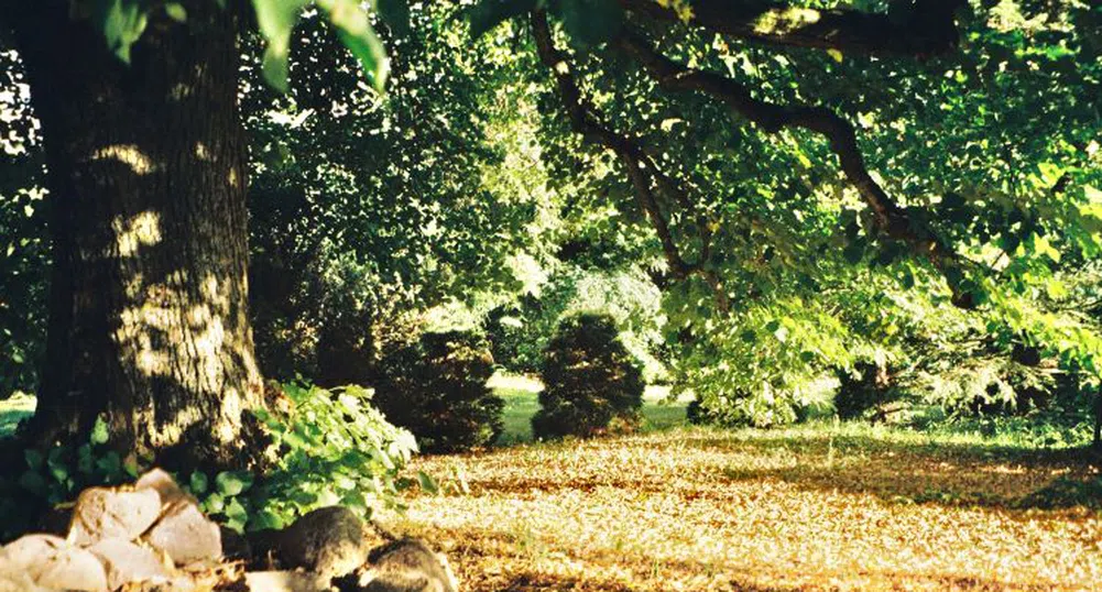 Септември е бил най-топлият в метеорологичната история на Европа и света