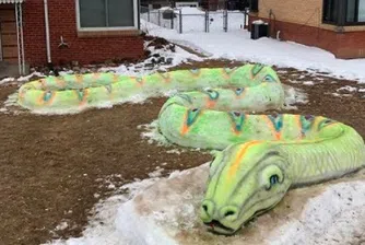 Семейство създаде 23-метрова снежна змия