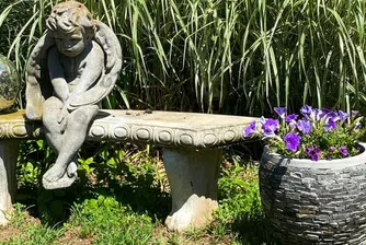 Ще успеете ли да откриете животното на тези снимки?