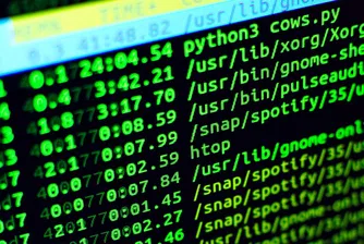 Руснаци търсят пиратски софтуер на Microsoft и минават на Linux