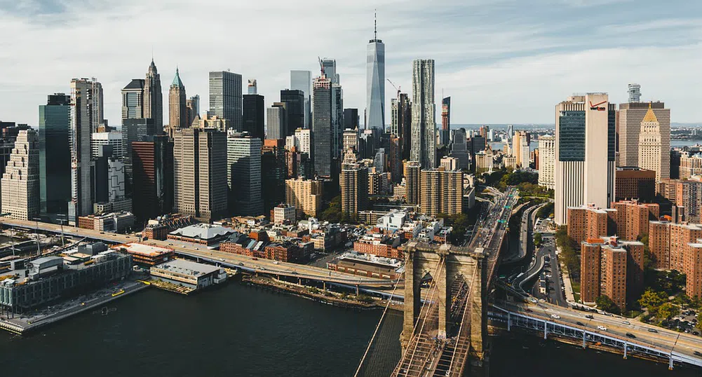 Ню Йорк с извънредни мерки заради маймунската шарка