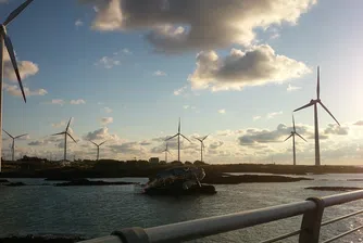 Конкуренция топи печалбите на производителите на вятърни турбини