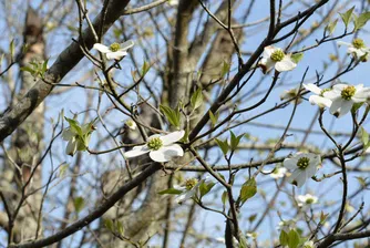 Слънчево време за Великден
