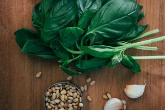 Полезни ли са кедровите ядки?