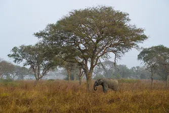 Топ дестинации в Африка за пътешественици
