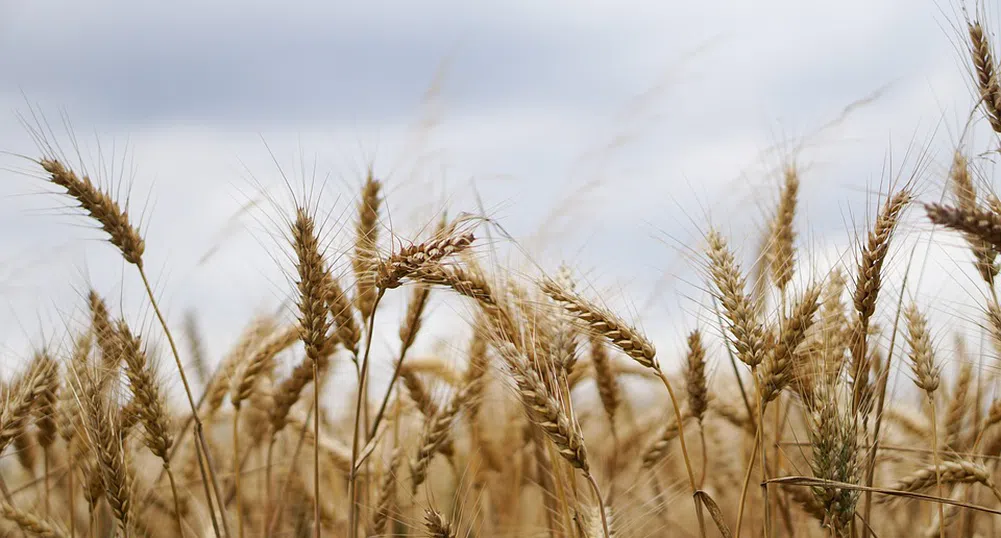 Договорите за аренда на земя удариха дъното