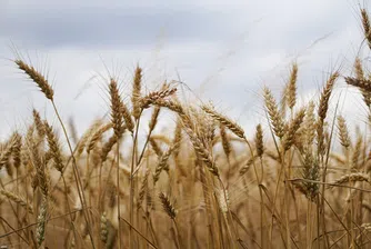 Договорите за аренда на земя удариха дъното