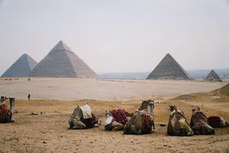 Увлекателни факти за египетските пирамиди, които може би не знаете