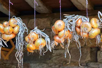 Какво ще се случи с тялото ви, ако консумирате кромид лук всеки ден?