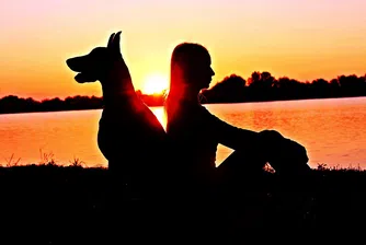 7 житейски правила, по които да заживеете отсега нататък