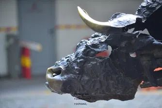 БФБ пуска новия борсов индекс beamX